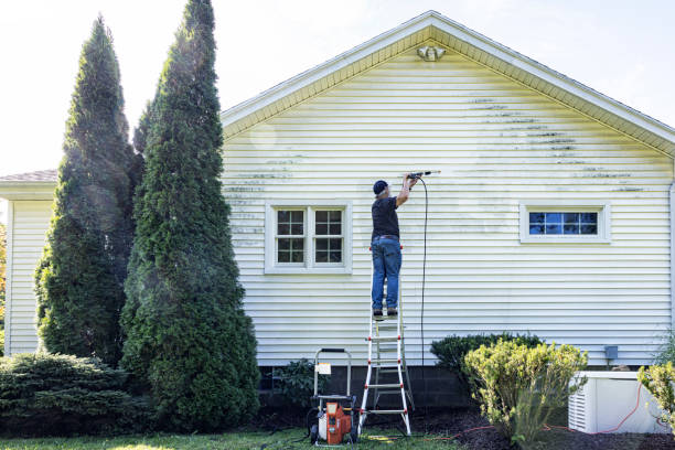 Best Roof Cleaning and Mildew Removal in Oakland, CA